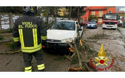 Il Ciclone Harry ha devastato il sud ma non sembra importare a nessuno