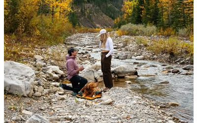 Il nostro cane Arlo morto quattro giorni dopo avere assistito alla proposta di matrimonio coppia racconta gli ultimi attimi con il loro cucciolo