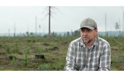 Il successo di Ikea e il sacrificio delle foreste: accessibile a tutti ma a che prezzo? Il documentario su Arte.Tv