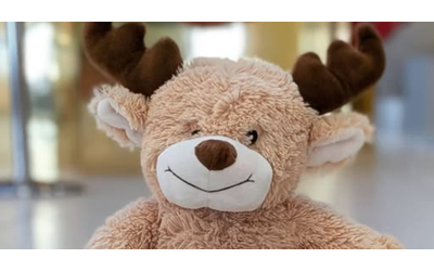 Immaginiamo una manina che lo stringeva forte Aiutateci a farlo tornare tra le braccia giuste l appello per riportare a casa l orsacchiotto di peluche perso in aeroporto