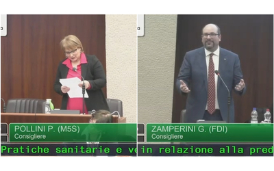 In Lombardia è scontro sul lupo. M5s: “La destra fa allarmismo per fini elettorali”. FdI: “Animalisti da strapazzo”
