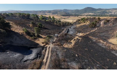 Incendi in Sardegna, le immagini dal drone dopo la devastazione nel Sassarese – Video