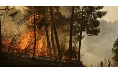 Incendi in Spagna, quinta vittima. Sánchez annuncia patto di Stato sui cambiamenti climatici