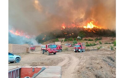 Incendi in Turchia e Cipro: 12 morti e evacuazioni. L’impressionante video del “fire tornado”