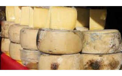 Incredibile rapina in Puglia: minacciano con le armi l’autista del Tir e rubano l’intero carico di formaggi