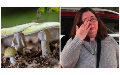 Invita i parenti a pranzo e gli serve l’Angelo della Morte, uno dei funghi più letali al mondo: 50enne a processo per l’omicidio degli ex suoceri e della zia del marito