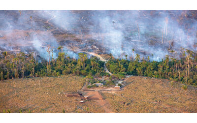 L’Amazzonia che ospita la Cop30 soffocata dai roghi appiccati per far spazio ai pascoli: a Porto Velho livelli di inquinamento superiori a Pechino