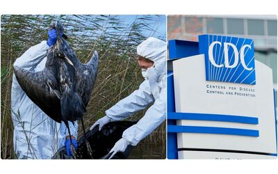 L aviaria raddoppia dopo il ceppo H5N1 ora anche l H5N5 contagia gli umani primo decesso negli Usa Epidemie senza precedenti nei volatili