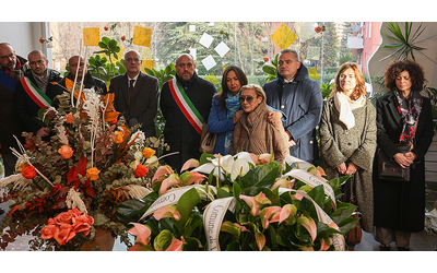 La piantata di motore e lo schianto l incidente aereo di Casalecchio di Reno era inevitabile