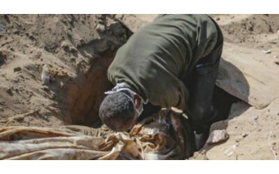 Labate e colleghi forse non si sono accorti bene del genocidio a Gaza: il mondo andrebbe diviso tra pro Pal e pro guerra