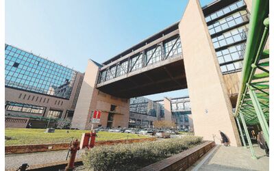 Lascia 3 milioni in eredit alla badante sconosciuta per fare un dispetto ai parenti