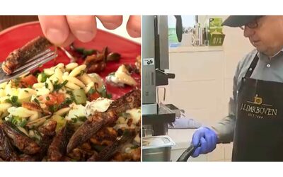 Le cavallette e i grilli li faccio fritti ma senza rimuovere l esoscheletro Sono pi croccanti cos chef Baumgarten presenta il suo men a base di insetti