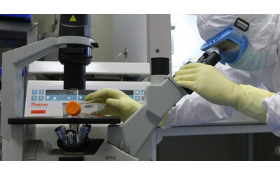 Le frodi scientifiche sono in aumento, smascherate nuove strategie e reti globali di...