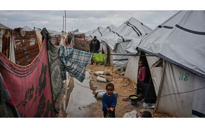 Le ong scrivono a Tajani Il governo italiano chieda a Israele di sospendere le misure contro di noi