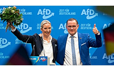 Le strane donazioni milionarie all’estrema destra tedesca di AfD: dal medico negazionista all’austriaco che ha preparato 6mila manifesti