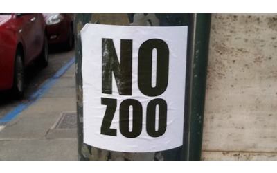 Lo zoo danese che cerca animali vivi per nutrire i predatori non è il problema: il problema sono...