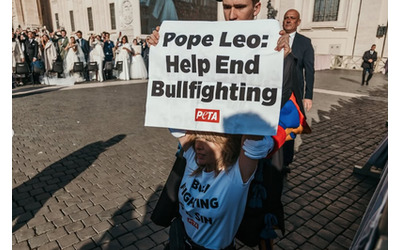 Loredana Cannata arrestata in Vaticano l attrice scavalca le transenne con un messaggio per il Papa Aiutaci ad abolire la corrida