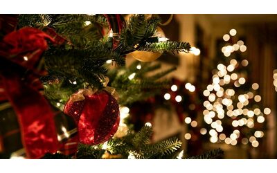 Luci, alberi, cibo e microplastiche: a Natale s’inquina molto di più. Ecco i consigli per celebrare le feste rispettando il Pianeta
