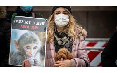 Macachi chiusi in laboratorio all’Università di Ferrara: chiediamo la loro liberazione