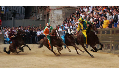Maltrattamento animali, approvata la legge. La Lav sul Palio di Siena: “43 cavalli uccisi, le tv non lo trasmettano”