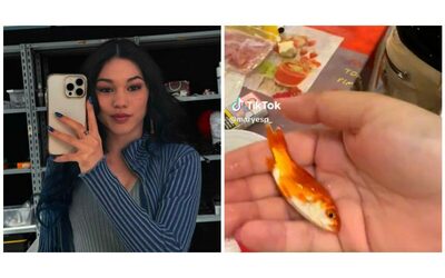 Maria Esposito, il video con i maltrattamenti ad un pesce rosso scatena le polemiche: “Lo sta facendo soffocare”