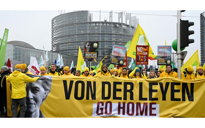 Mercosur la Commissione Ue va avanti Applicazione provvisoria Macron Brutta sorpresa M5s e Lega Forzatura democrazia calpestata