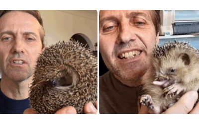 Milo il riccio mutilato dalla falciatrice senza una zampa e con il palato distrutto ora la sua storia diventa simbolo e arriva una serata evento