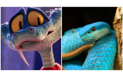 Nel film affettuoso e coraggioso ma nella realt tutto tranne che un innocuo giocattolo scatta l allarme per il boom di acquisti di serpenti velenosi dopo Zootropolis 2