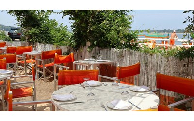 “Niente bambini al ristorante e in spiaggia”, famiglia respinta dal locale ‘childfree’. Scoppia il caso e interviene il sindaco: “La nostra città deve accogliere tutti”