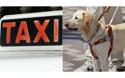 “Niente cani sul mio taxi”, non vedente chiama la Polfer ma il tassista non cede