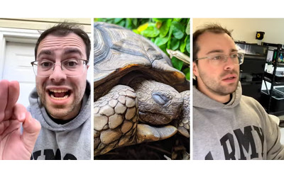 Non seppellite mai le tartarughe un idea orribile Ecco perch l allarme dell esperto virale su TikTok