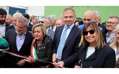 Nuova tegola per Lollobrigida dubbi sul suo comitato tecnico faunistico per il Consiglio di Stato il ministro ha raggio d azione illimitato