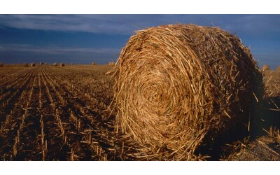 Operaio di 25 anni muore nel Torinese incastrato nel macchinario di un azienda agricola