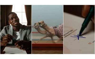 Orgoglioso di far parte di un momento sportivo storico Pogba diventa imprenditore investe sulle corse dei cammelli