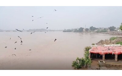 Pakistan, inondazioni in Punjab: vittime e 265.000 evacuati – Il video