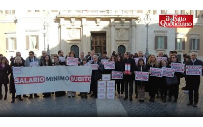 Pd, M5s e Avs consegnano a Montecitorio le firme per il salario minimo: “Quattro milioni di lavoratori poveri, il governo cosa fa?”