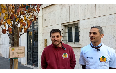 Piantati 30 nuovi alberi di diverse specie cos il Municipio 2 di Roma torna a fiorire L iniziativa di Daje De Alberi con l Arbor Day Foundation