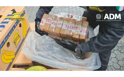 Reggio Calabria, importavano coca dalla Colombia: condanne per 236 anni nel processo Tre Croci. Tre anni e 5 mesi a Imperiale