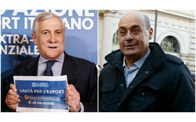 Rissa verbale Pd-FI sui dazi. “Tajani da psichiatria”. “Zingaretti alcolizzato”