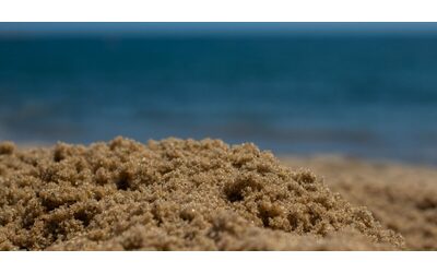 “Scavare buche in spiaggia può essere letale e causa più morti degli attacchi degli...