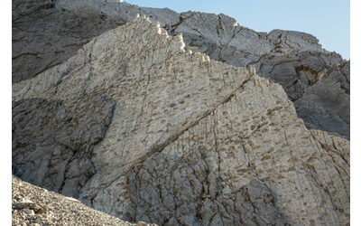 Scoperte migliaia di impronte di dinosauri nel Parco Nazionale dello Stelvio L esperto Patrimonio scientifico immenso Video