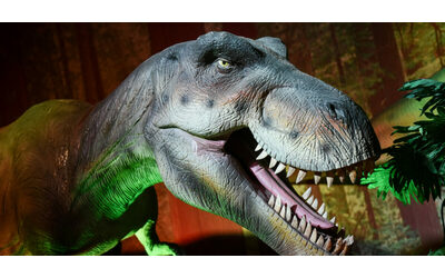 Scoperte (per caso) 200 impronte di dinosauri di 166 milioni di anni fa. Un operaio che scavava argilla in una cava ha notato subito strani segni