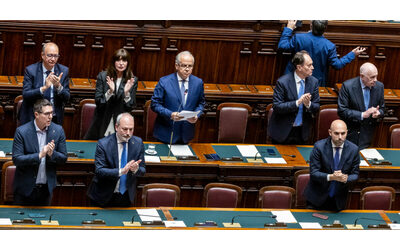 Scudo penale per gli agenti, fermo preventivo e sgombero dei centri sociali: ecco il testo della mozione della destra sulla sicurezza