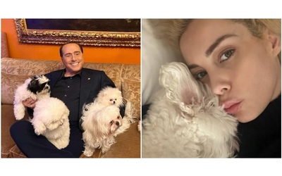 “Se imparassimo ad amare gli animali come meritano, saremmo molto vicini a Dio”: Marta Fascina ricorda Silvio Berlusconi e il suo amore per i cani su Instagram