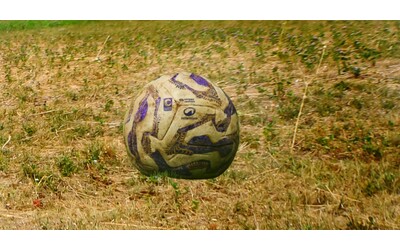 Serie C, anno nuovo e vecchi problemi: -3 al Foggia, deferite Triestina e Rimini. La stagione...