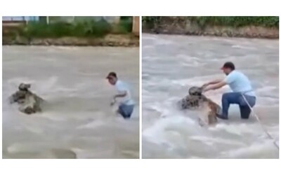 Si tuffa nel fiume in piena e salva la vita a un gattino intrappolato su una roccia, l’impresa...