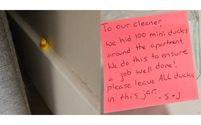 Siete degli stro zi Non si trattano i lavoratori in questo modo nascondono 100 paperelle in casa per verificare che la domestica pulisse bene