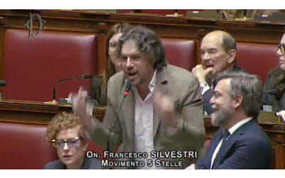 Silvestri M5s al centrodestra Referendum Vedervi schiumare cos mi fa veramente godere Video