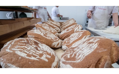 Sindaco perde il suo lavoro a un anno dalla pensione, assunto in una panetteria