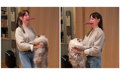 “Sollevarlo in quel modo è pericoloso, i veterinari dicono di non farlo”: Jennifer Garner rimproverata dopo un video con il suo gatto – IL VIDEO